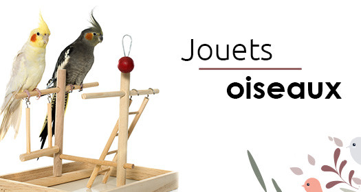 Jouets oiseaux